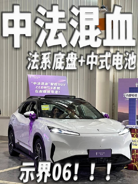 中式电池技术+法系底盘调教的示界06到底如何？